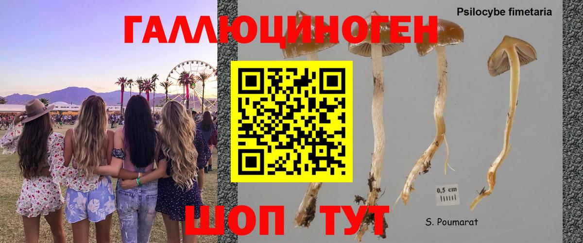Верхний Уфалей  Псилоцибиновые грибы мицелий  Псилоцибиновые грибы Magic Shrooms  Вход с VPN 