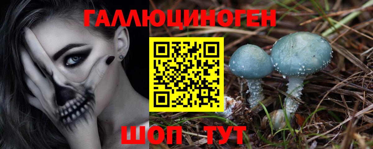 Галлюциногенные грибы Psilocybe Верхний Уфалей
